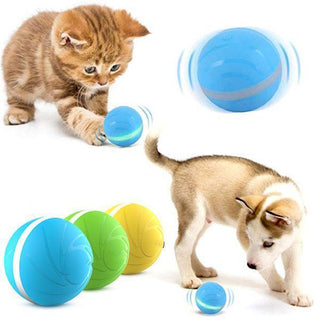 Gadgets d'Eve animaux de compagnie Copy of COMBAL™: Balle Animée Intelligente pour Animaux De Compagnie