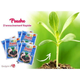 Gadgets d'Eve ROOTYN™ : Poudre D'enracinement Rapide