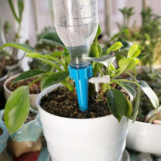 WATERIT™ : Système D'Irrigation au Goutte-à-Goutte Écologique et Économique